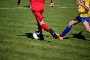 米兰体育报官网-世界台球联赛中国队勇夺团体亚军，世界台球联赛中国队勇夺团体亚军是谁